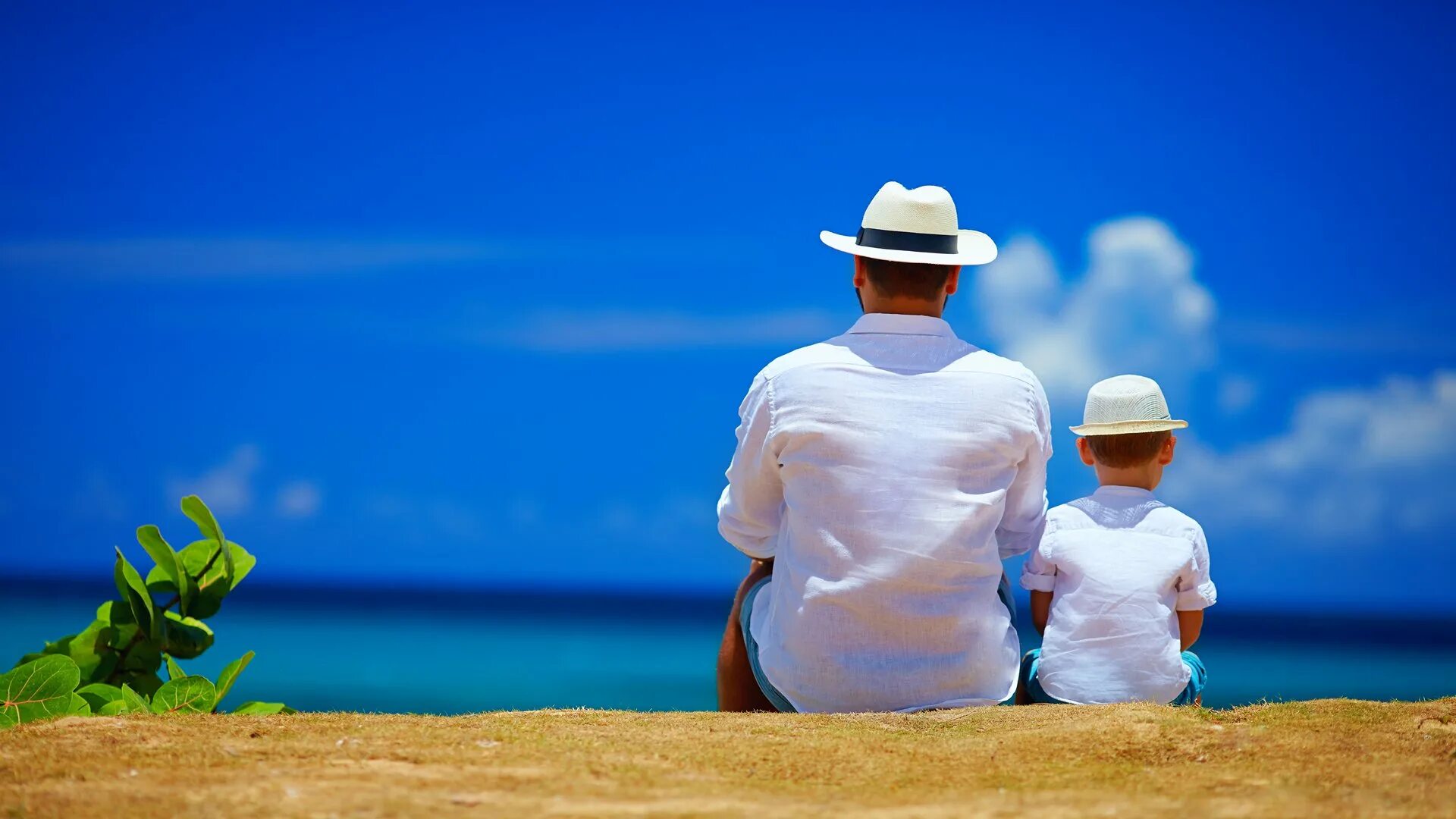 Like father like son idiom. My fathers done. Отец и сын силуэт. My fathers done. Like father like son перевод.