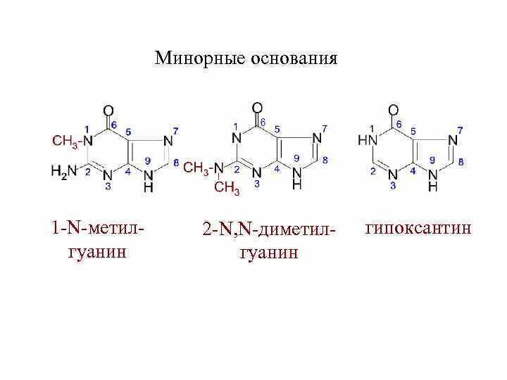 Минорные биологически активные вещества это. Минорные биологически активные. Адренохром схема. Минорные биологически активные. Минорные биологически активные вещества это.
