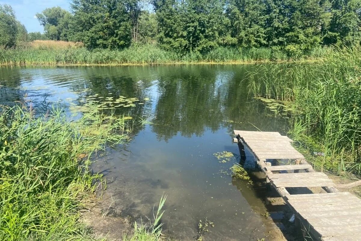 В тамбове 15 летнюю. Село Староюрьево Тамбовской области. Река Лесной Воронеж Тамбовская. Деревня Староюрьево Тамбовская. Река Тамбовской области Староюрьево.