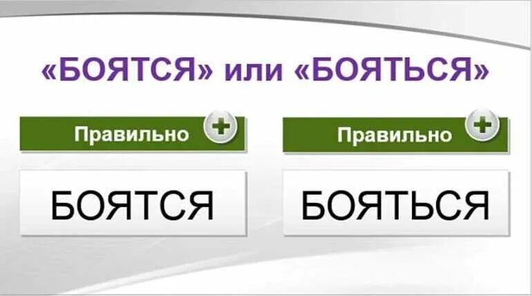 Стенами ударение. Стенами или стенами ударение. В место или вместо как правильно. Стенах ударение в слове. Лепишь как пишется