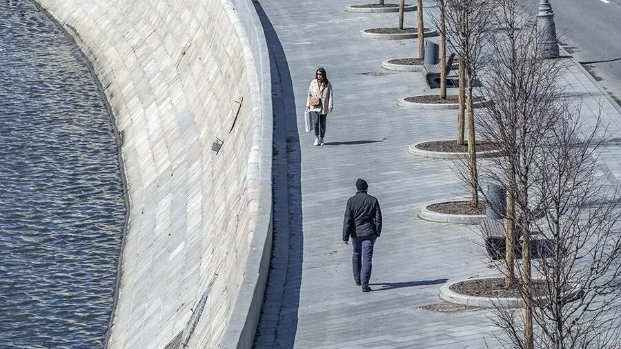 огромный гулять. прогулка с собакой. гуляйте на свежем воздухе. прогулка с собакой. больше гулять на свежем воздухе.