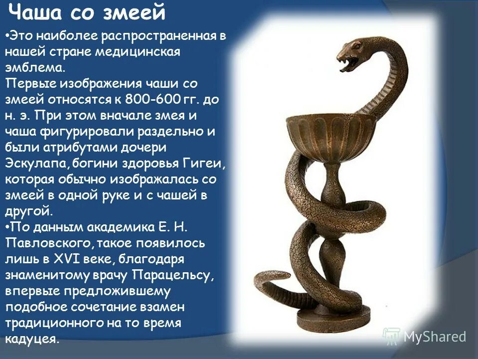 Рассказ змейка. Чаша Гигеи и посох Асклепия. Чаша со змеей. Медицинская эмблема чаша со змеей. Асклепия – чаша со змеей.