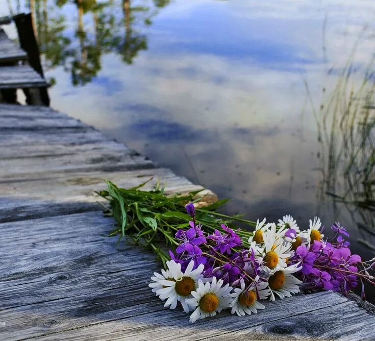 Погода вопреки прогноза была замечательная. Букет цветов на скамейке. Букет полевых цветов на скамейке. Озеро цветы. Полевые цветы лежат на столе.
