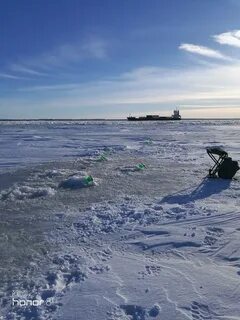 Новости с финского залива сегодня
