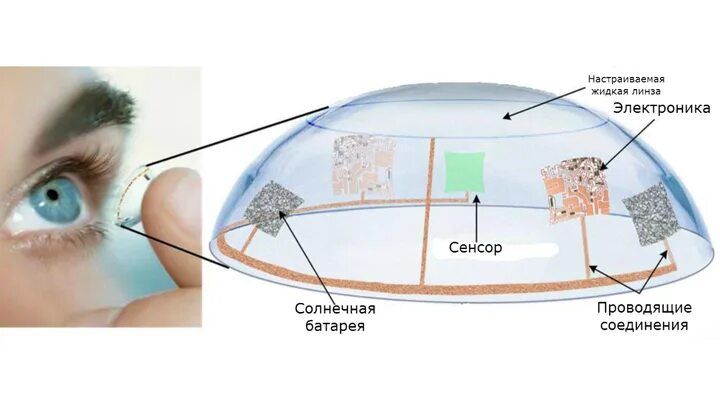 Линзы с экраном. Строение контактной линзы. Бионические контактные линзы. Биотические контактные линзы. Цифровые контактные линзы.