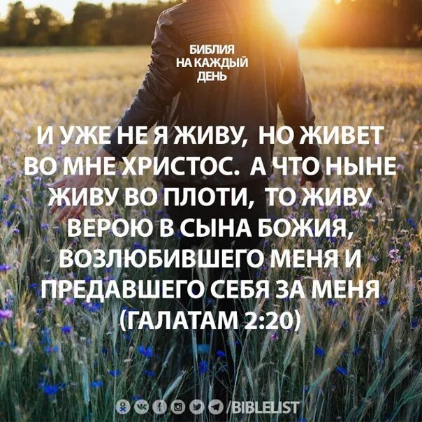 Библия сын