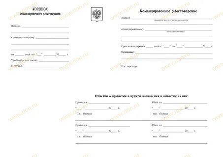 Командировочные в беларуси 2023 год