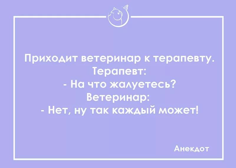 Анекдоты про ветеринаров. Анекдот про ветврача и терапевта. Анекдот про ветврача. Анекдоты про ветеринарных врачей. Анекдоты ветеринара