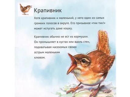 Убейте крапивника