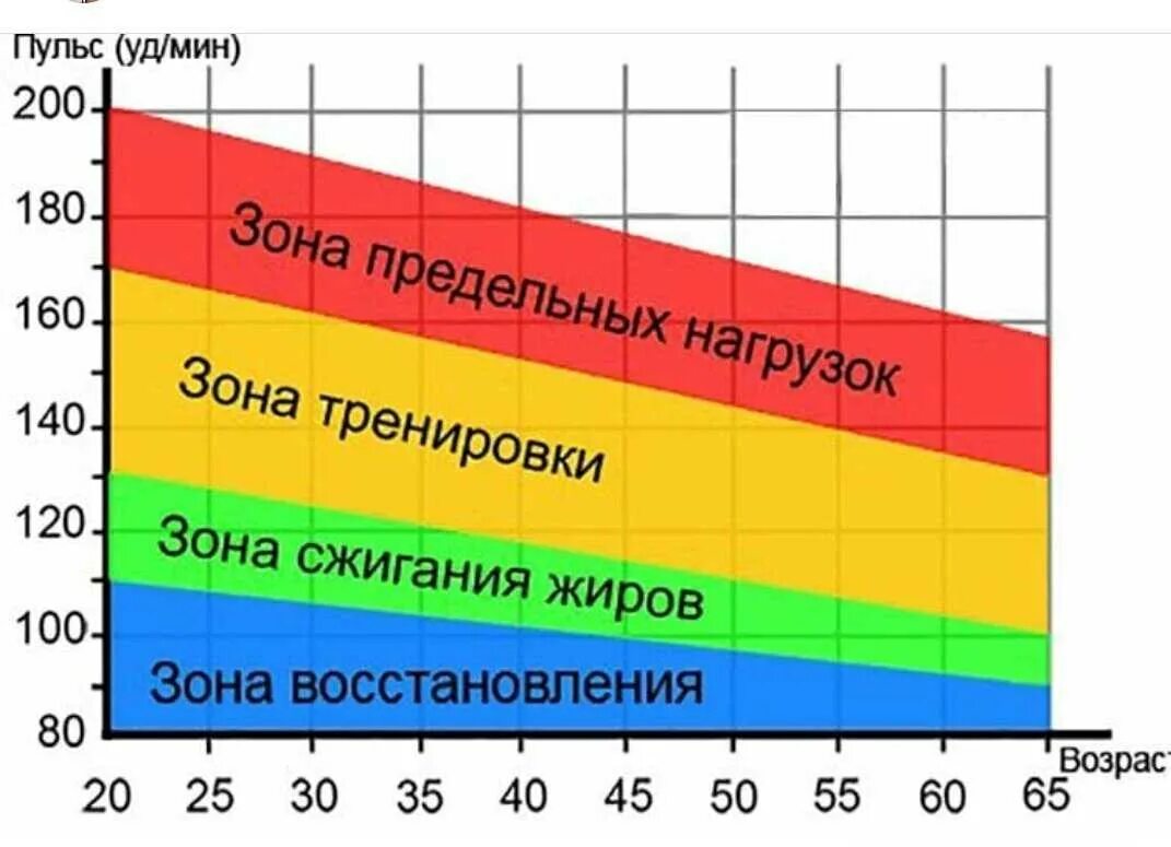 Пульс при физических нагрузках для сжигания жира. Норма пульса по возрастам таблица. Верхняя граница нормы артериального давления. Давление при ходьбе. Давление 150 на 100 у мужчин.