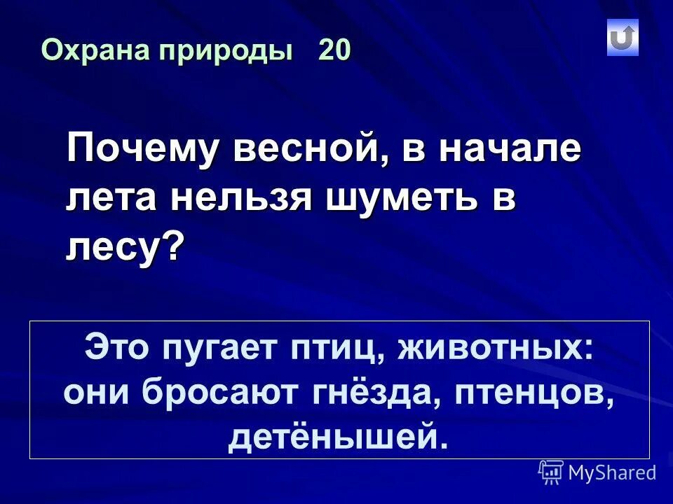 Почему весной запрещена. Почему весной нельзя шуметь в лесу. Почему весной и в начале лета нельзя шуметь в лесу. Почему нельзя шуметь в лесу 3 класс. Почему мы не будем шуметь в лесу.