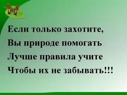 Помогая природе вы