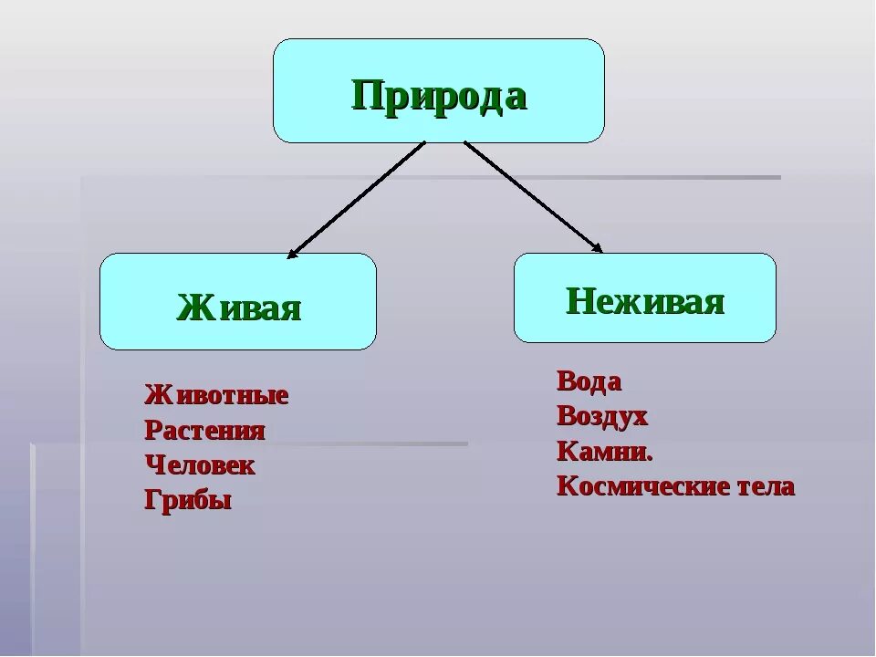 Неживые организмы состоят. Таблица Живая и неживая природа. Признаки объектов живой природы. Объекты живой и неживой природы. Живая и неживая природа 2 класс окружающий мир.