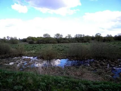 Погода село болото горшеченский курской