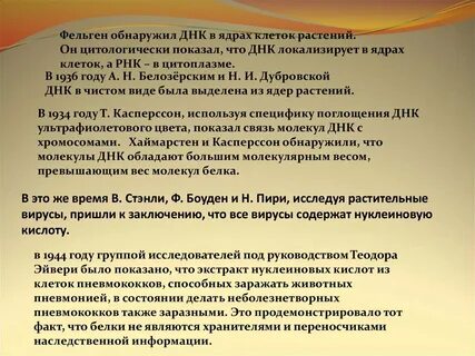 Он заключил что