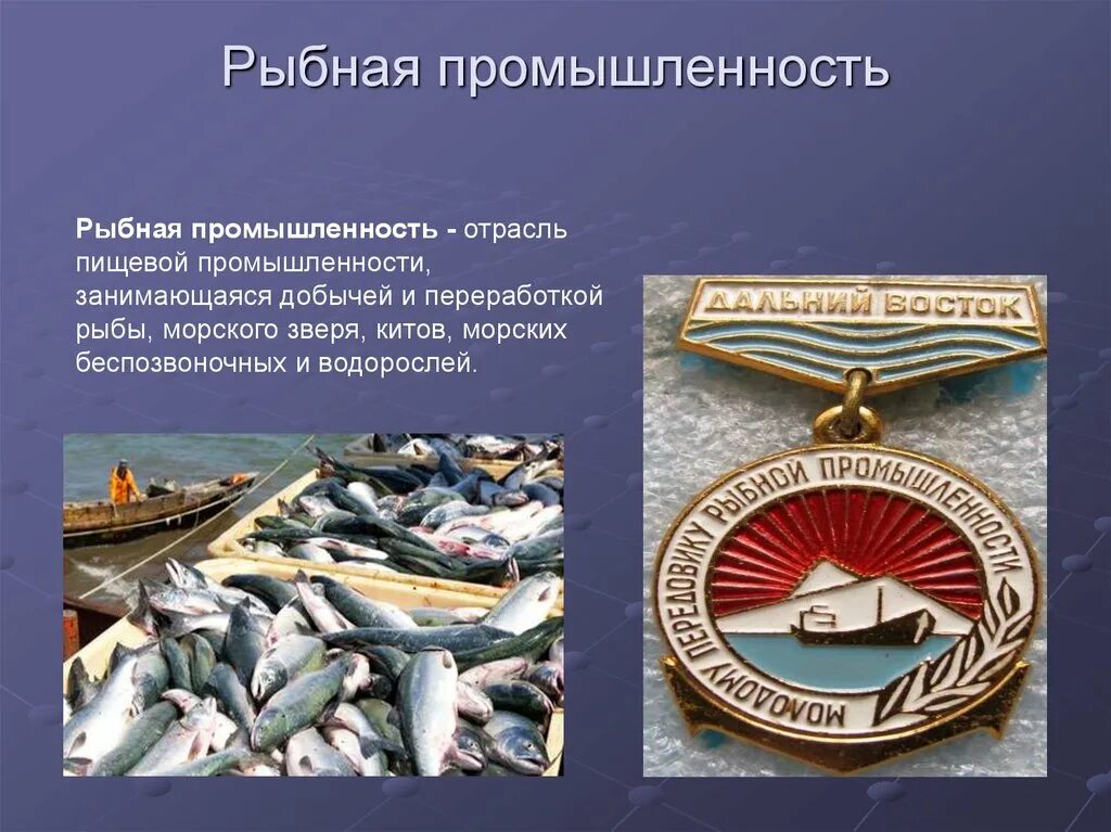 Рыбная промышленность является отраслью специализации. Отрасли рыбной промышленности. Пищевая промышленность Рыбная. География рыбной промышленности. Рыбная промышленность России презентация.