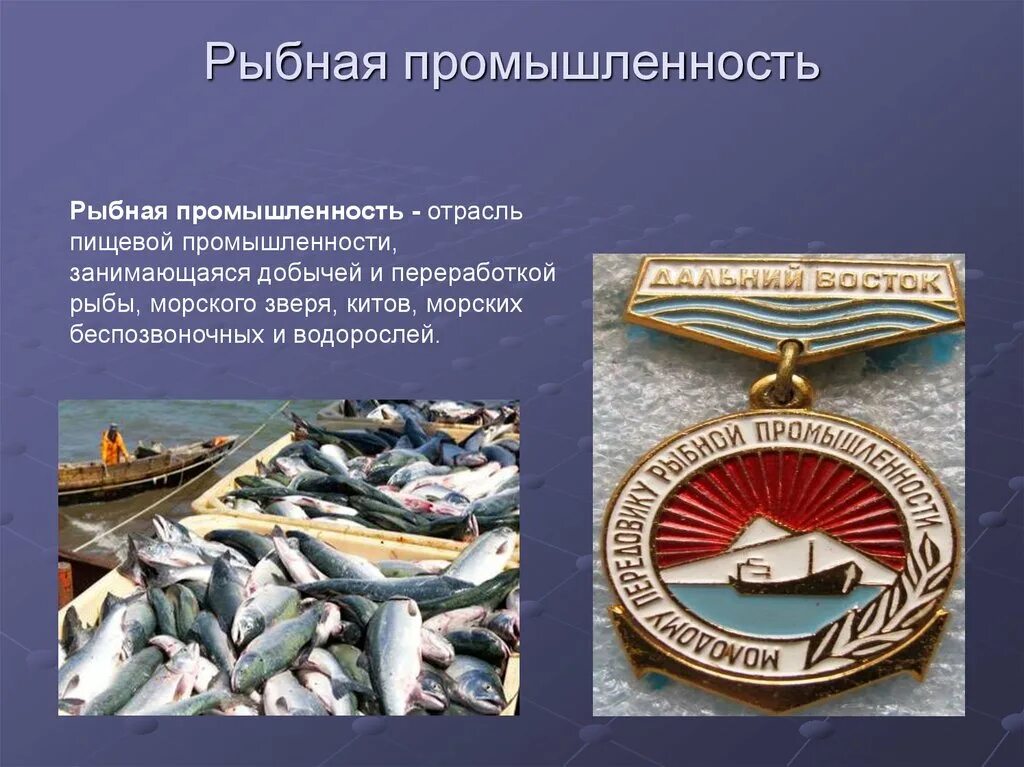 Рыбная промышленность доклад. Рыбопромышленный комплекс дальнего востока. Основные центры рыбной промышленности. Ресурсы рыбной промышленности. Отрасль экономики рыбная промышленность.