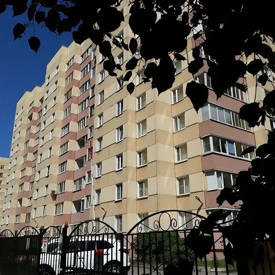 Проспект просвещения 102. Проспект просвещения 102. Проспект просвещения 102. Пр просвещения 102. Пр просвещения д23 лит а.