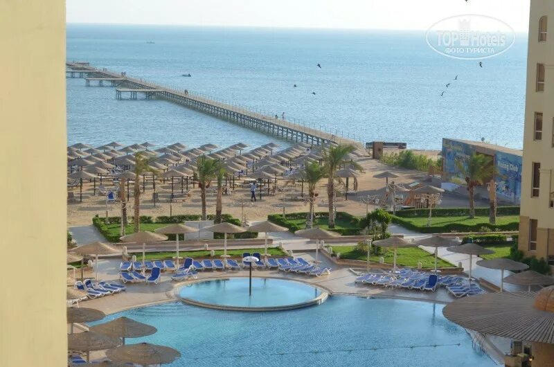 Amc royal hotel 5 хургада. Amc royal hotel spa пляж. Египет амс роял отель 5 хургада. Amc royal hotel 5 хургада отзывы. Amc azur grand resort) 5* хургада, 50 м до моря.