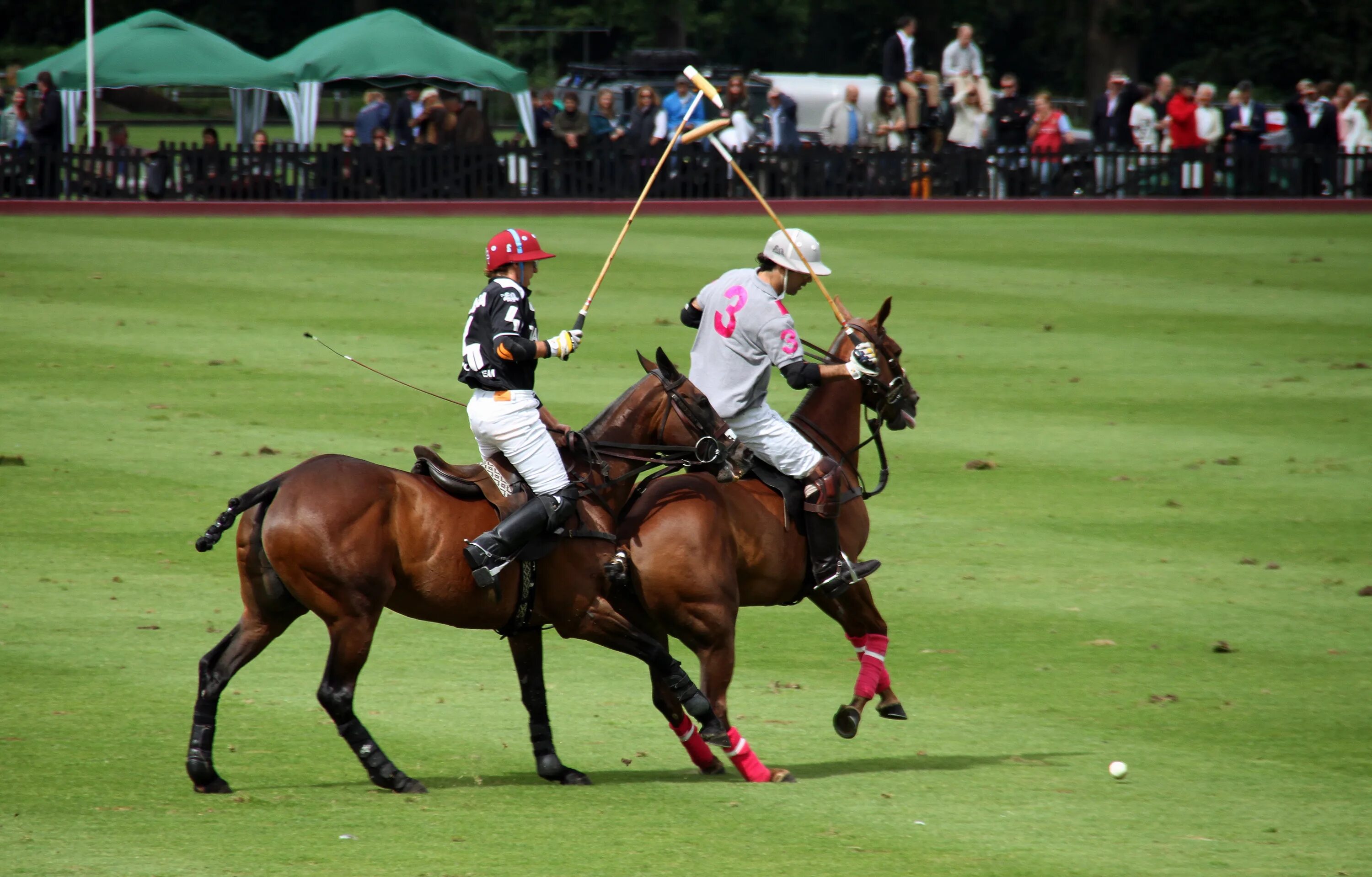 Самый популярный вид спорта в великобритании. Polo Sport поло. Поло для конного спорта. Великобританское Конное поло. Конный спорт в Британии.