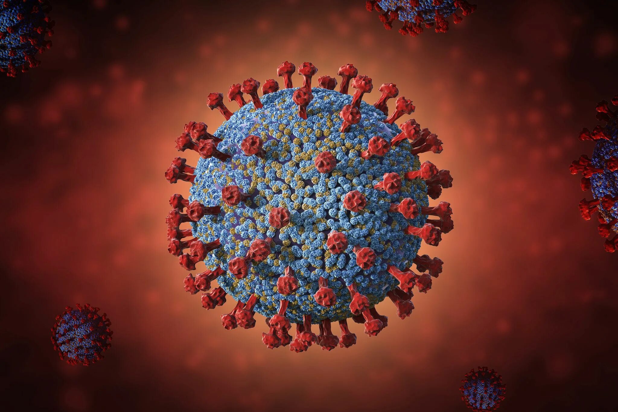 Коронавирус клетка. Коронавирус молекула. Coronavirus 3d. Covid- 19 клетка. Коронавирус много