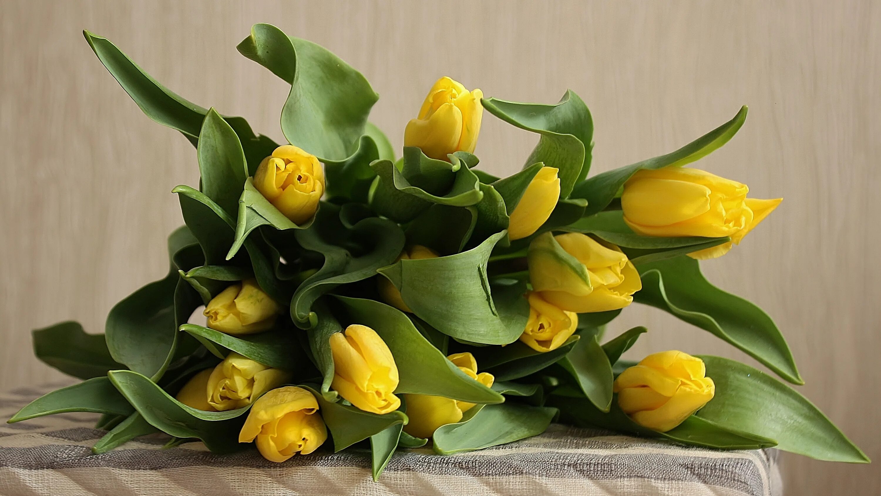 Желтые тюльпаны. Букет тюльпанов. Красивый букет желтых тюльпанов. Красивые букеты из желтых тюльпанов.