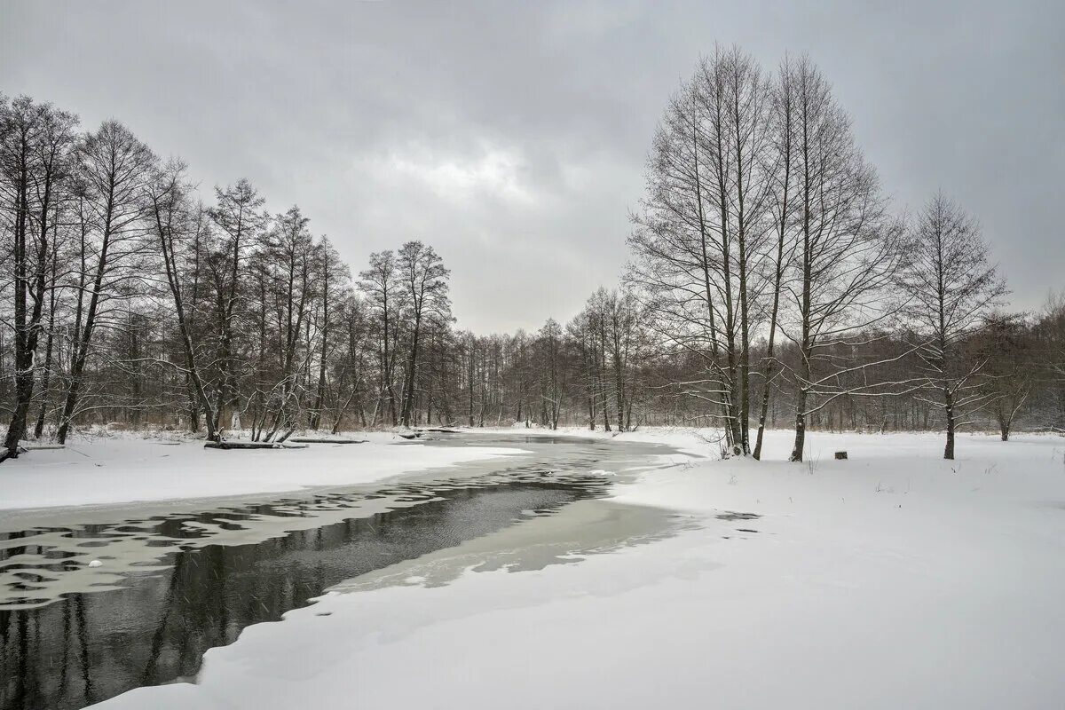полынья слушать