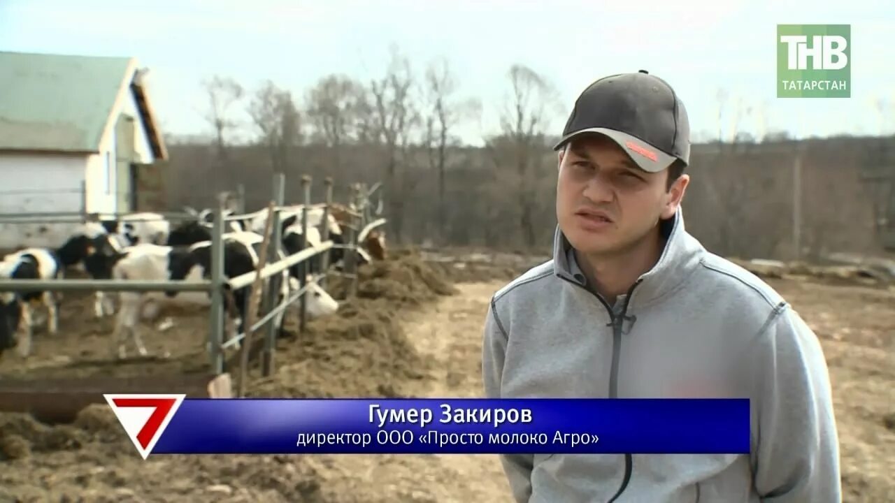 Банкротство сельскохозяйственных организаций. Закиров Гумер Фаритович. Чистополье Татарстан Агрофирма. Гумер Закиров просто молоко. Закиров Гумер Фаритович Чистополье.