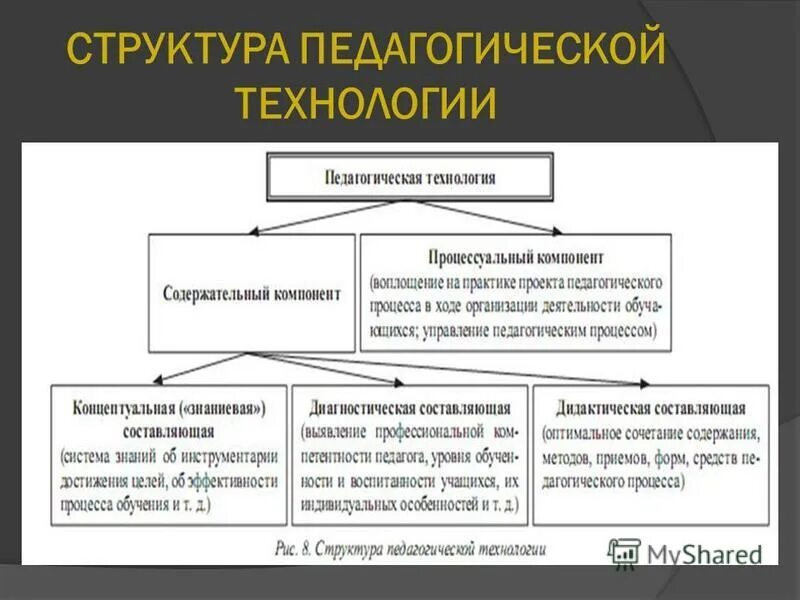 Структурные компоненты клеточной