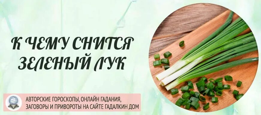 Сонник к чему снится лук. Зеленый лук к чему снится. видеть во сне зеленый лук. к чему сница зелёный лук. увидеть во сне лук зеленый.