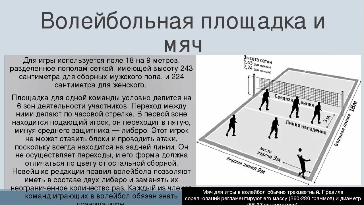 Сколько игроков в волейболе находится на площадке. Регламент в волейболе. правила волейбола. правила игры в волейбол. как играть в волейбол правила.