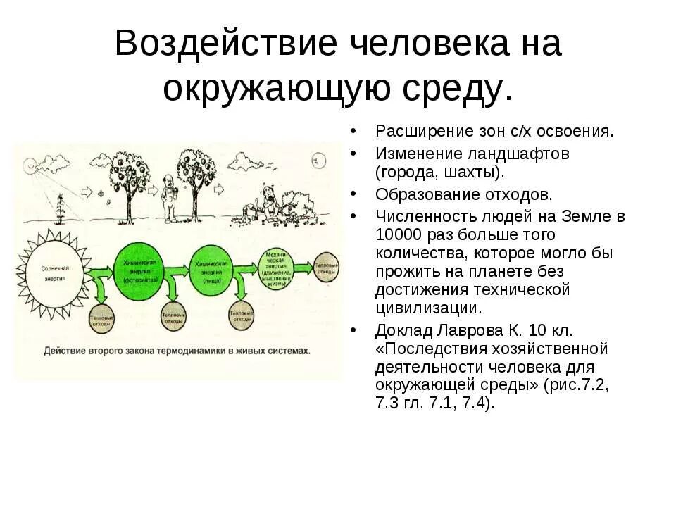 Влияние человека на окружающую среду биология. Влияние человека на окружающую среду. Виды влияния человека на окружающую среду. Воздействие человека на окружающую среду доклад. Влияние человека на окру.