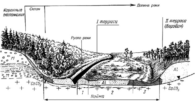 Строение аллювиальных почв. Строение Речной Поймы схема. Строение Поймы реки схема. Строение Речной Долины в поперечном сечении. Почвы долины рек