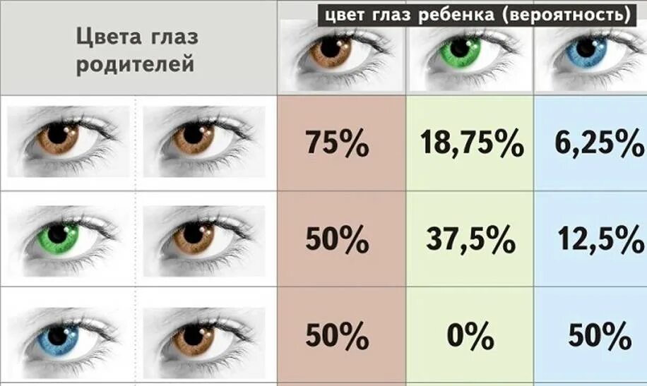 Когда у детей проявляется цвет глаз. Цвет глаз таблица. цвет глаз родителей и детей. вероятностьцаета глаз. цвет глаз родителей и детей таблица.