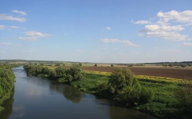 Мишенское. Усадьба Мишенское Белевский район. Село Мишенское Жуковский. Село Мишенское Тульской области. Село Мишенское Тульской губернии.