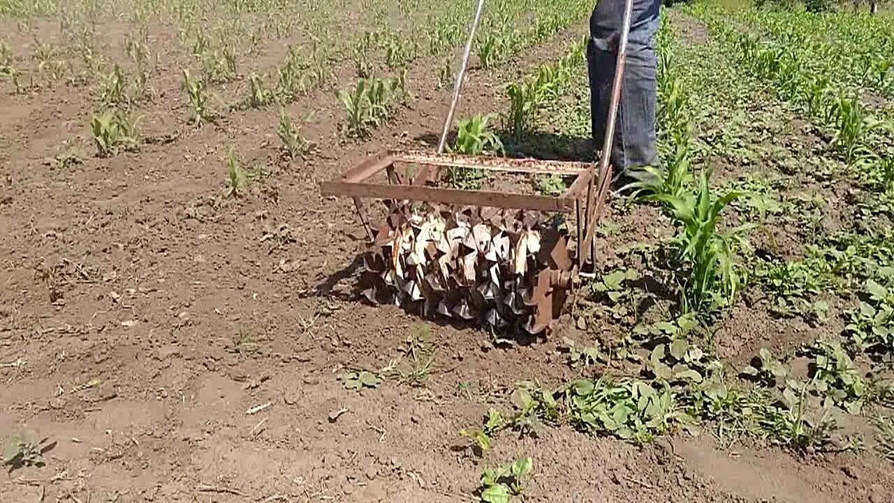 Как быстро прополоть картошку