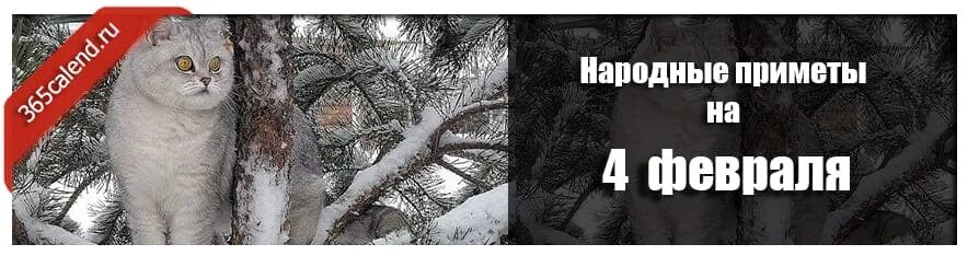 10 февраля 2025 приметы. Народные приметы на 4 февраля.
