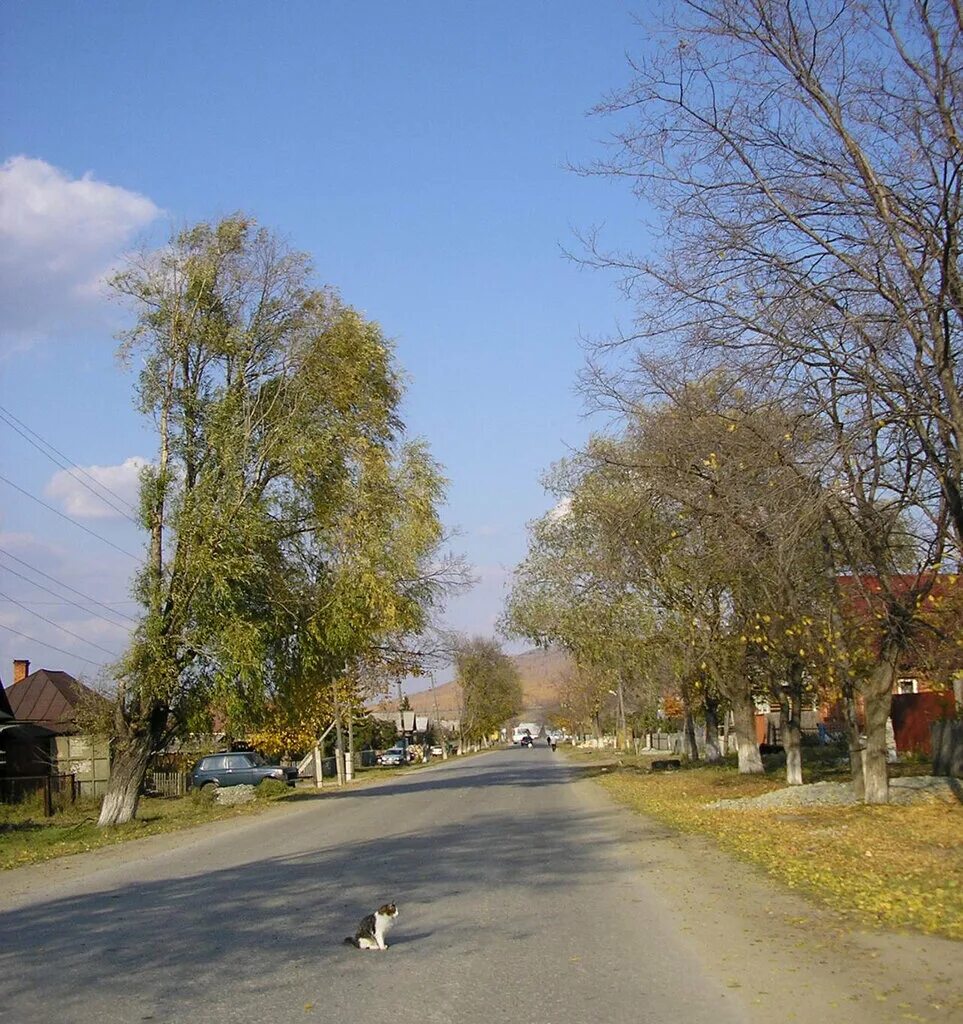 Новоандреевка Челябинская. Село Новоандреевка Симферопольский район. Деревня Новоандреевка Уральское Синегорье. Новоандреевка Алтайский край.