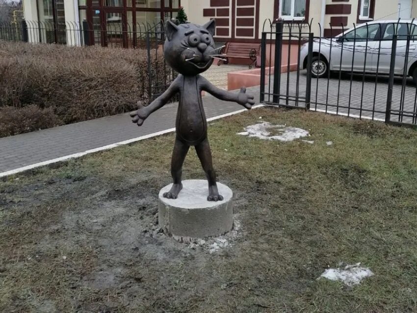 Символ Воронежа, Котенок с улицы Лизюкова, опять остался без усов