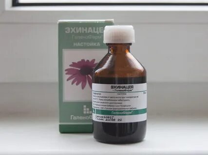Настой эхинацеи