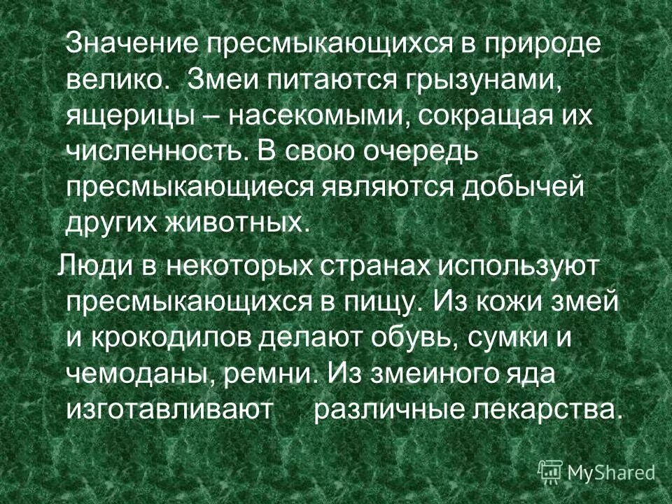 Какую роль играют современные рептилии в природе. Роль пресмыкающихся в природе. роль рептилий в природе. роль ящериц в природе. значение пресмыкающихся в жизни человека.