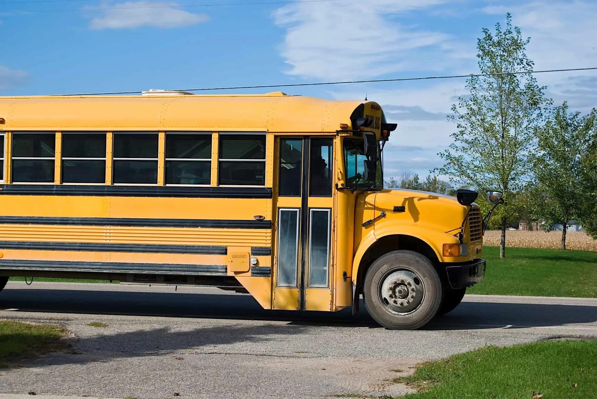 Цвет школьного автобуса. Жёлтый школьный автобус. School Bus Yellow цвет. Автобус желтого цвета. Желтый школьный автобус