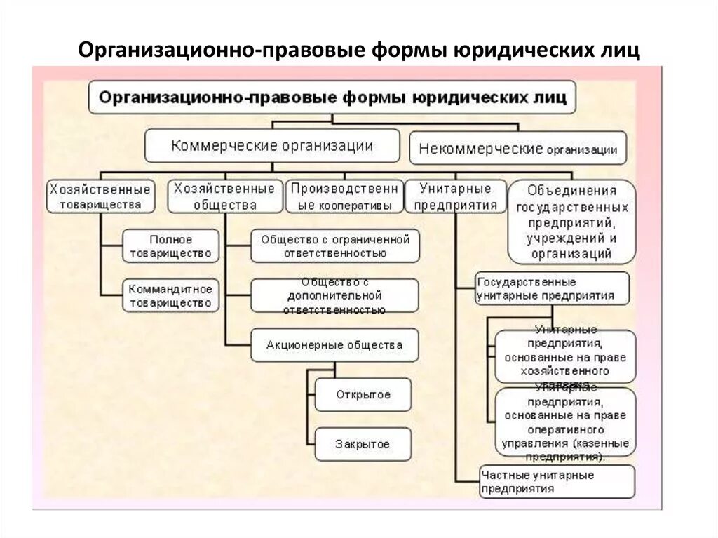 Типы организационно правовых форм юридических лиц