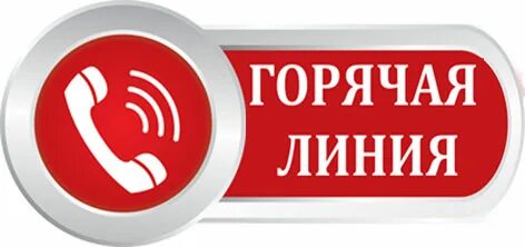 Вайлдберриз телефон горячей линии москва позвонить бесплатный. Техподдержка вайлдберриз. Вайлдберриз телефон горячей линии москва позвонить бесплатный. Служба поддержки wildberries. Wildberries номер телефона горячей линии.