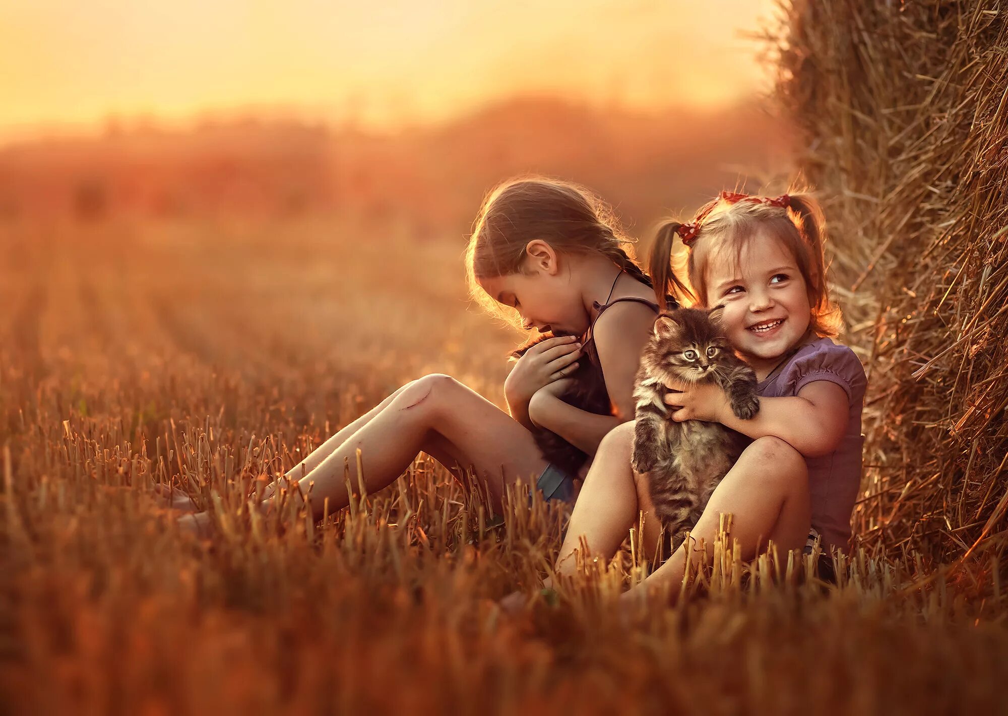 Field children. Счастливые дети в деревне. Дети в поле. Дети обнимаются в поле. Фотосессия на закате в поле семейная.