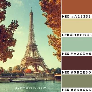Цвет paris
