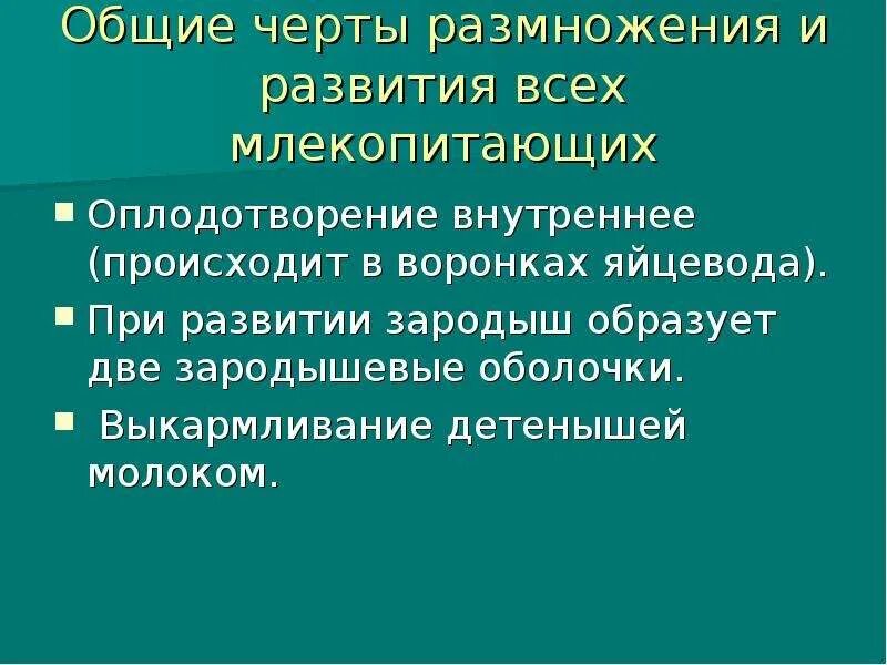 Размножение млекопитающих. Размножение млекопитающих кратко. Преимущества размножения млекопитающих. Биология размножение млекопитающих. Докажите преимущества размножения млекопитающих по сравнению