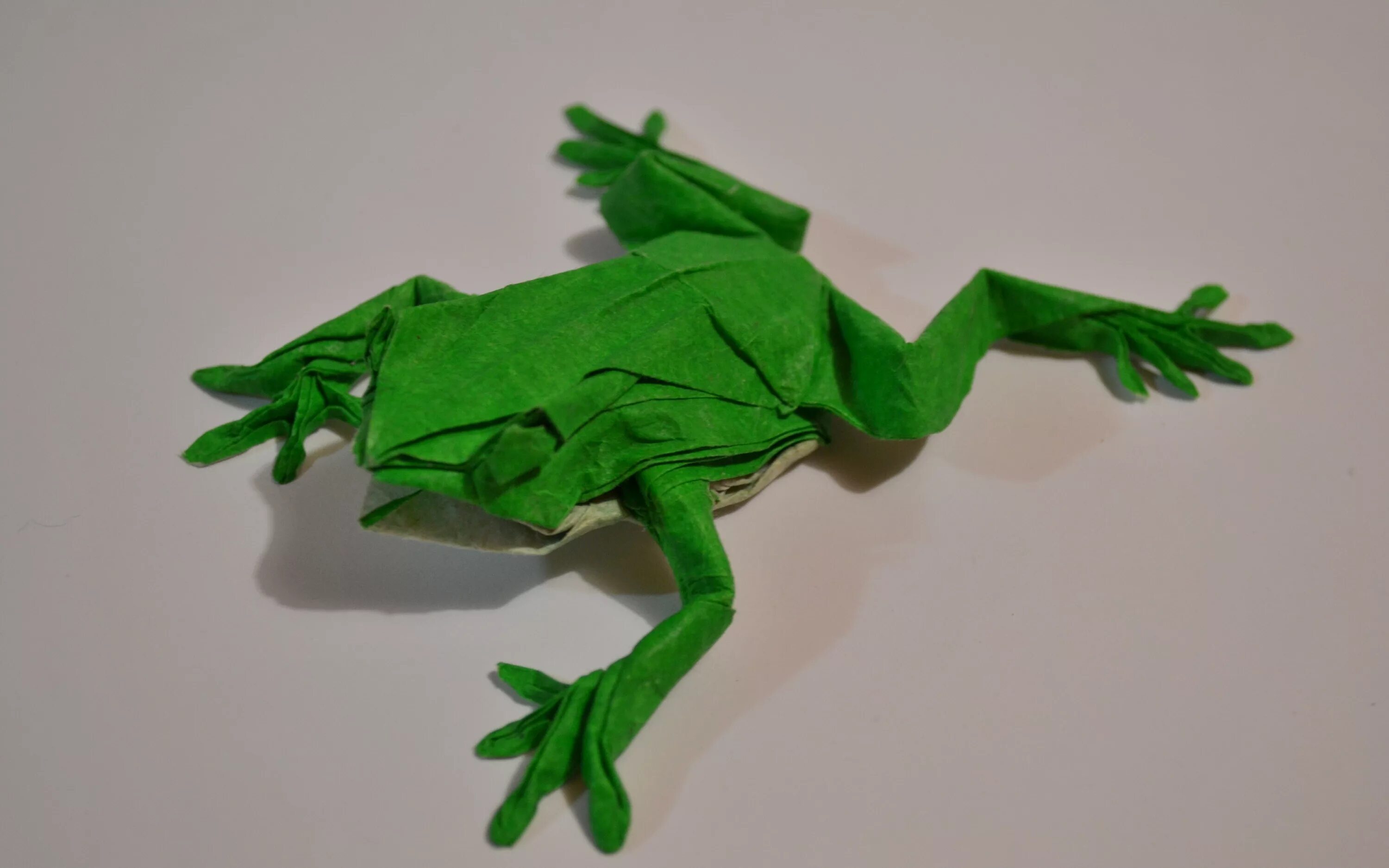 мастер класс лягушка попрыгушка. оригами лягушонок из бумаги для детей схема. как делается лягушка из бумаги которая прыгает пошаговая. оригами из бумаги для детей лягушка прыгающая пошагово. делаем прыгающую лягушку.