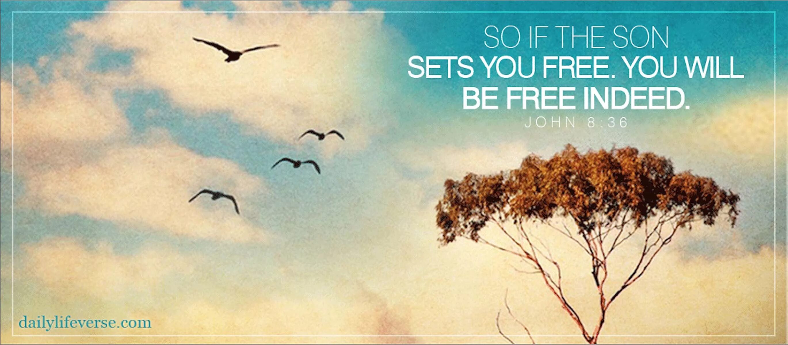 John 8. John viii palaiologos картина. John deere parts. Михаил 8 палеолог. John 8.