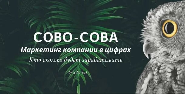 Сова сайт результаты